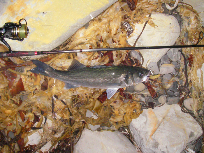 One of my better ones on a soft plastic.