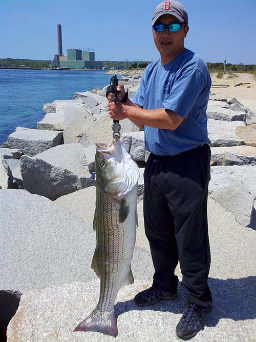 With a near 40lb striper from 'THe Canal' in Cpae Cod.