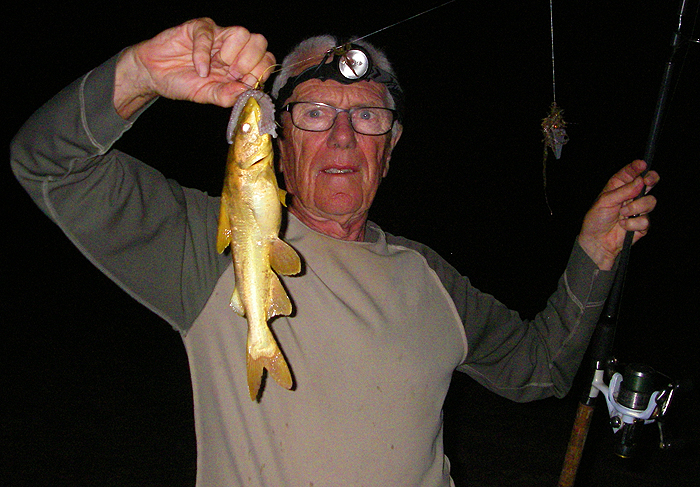 This was the first of these beauties that I'd seen but I caught another one.