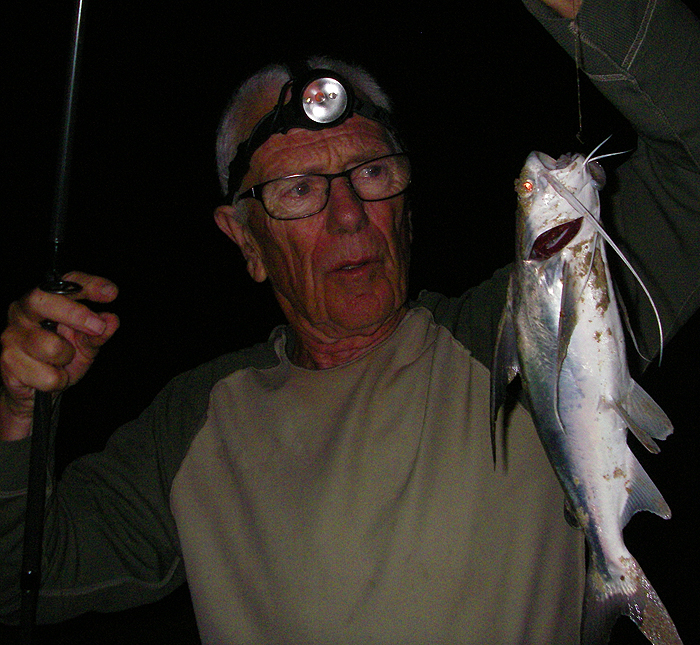 These aren't so big but they go like trains.