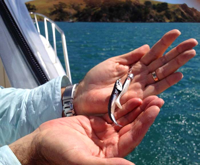 That's more like the stuff I expect my mate to catch.