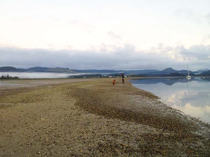 Paul and Louis giving it a go.