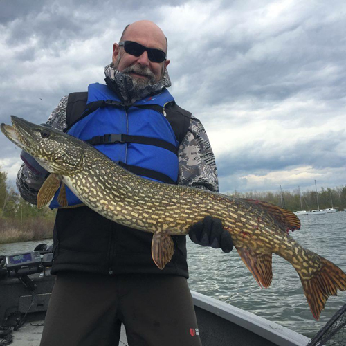 Another spotty monster.