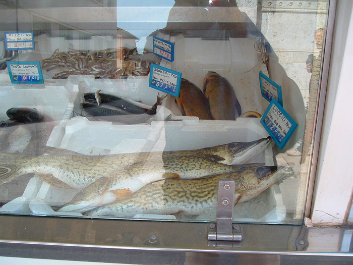 Another spotty monster.