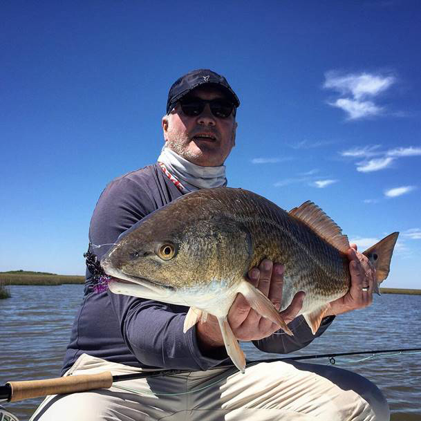 Another spotty monster.