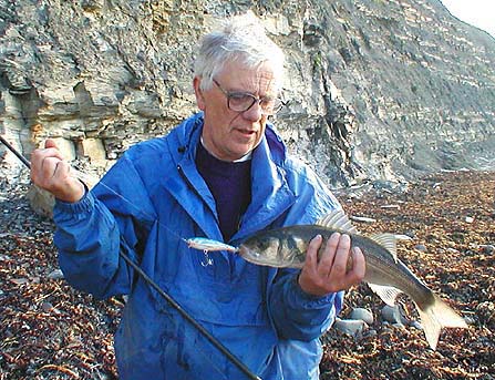 Bulky lures such as this Skitterpop are often fitted with hooks that are too large and crude for the target fish.  Note that the tail treble, even though well plated, is liable to rust because of salt water trapped in the dressing.