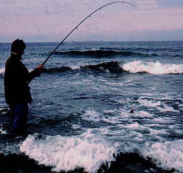 In a place like this, using light gear,  the art is to walk the fish ashore.