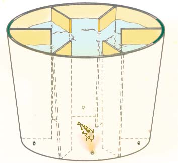 The fish use their sense of smell/taste to locate the pipe releasing the food 'scent'.