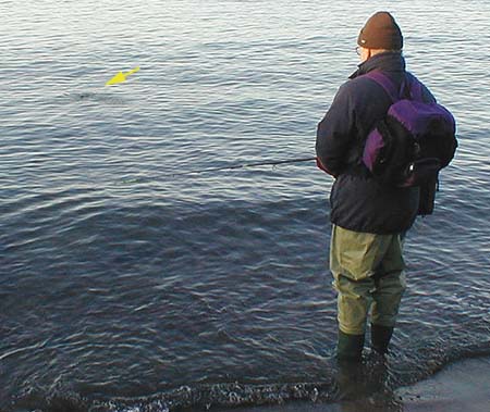 Nigel Bevis using a Skitterpop for bass, note the disturbance made by twitching the lure (arrowed) which attracts the bass.