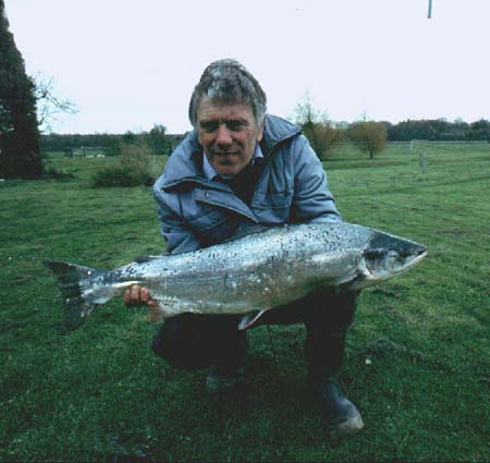 As a rule in tidal waters the seatrout seem to bite much more freely than salmon.