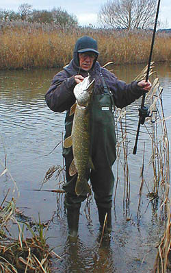 Braid is just as good for pike fishing.