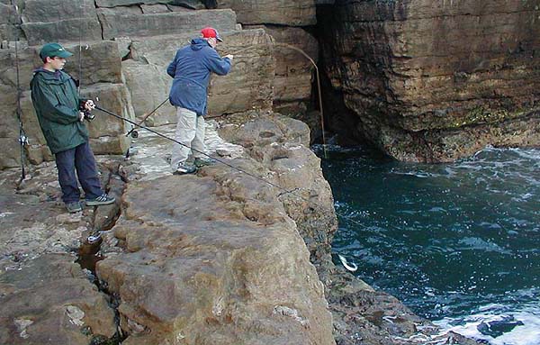 When fishing from a high ledge with light tackle a drop net could be useful.