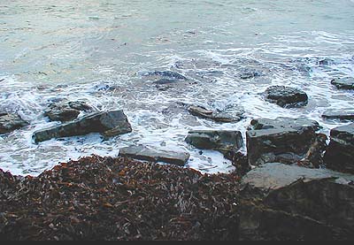 I stood on the boulders and cast ten or fifteen metres.