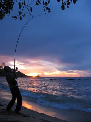 These fish fight like nothing else I have caught. In fact the ones we landed were mostly horseeye jacks but crevalles fight in the same style.