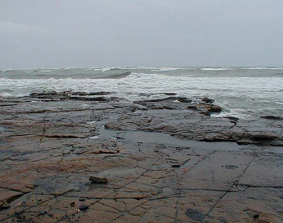 I fished but caught and saw nothing.