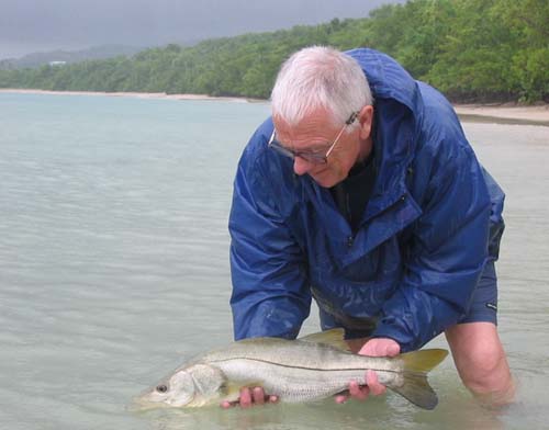 These wonderful fish gather in large shoals under and around sea bed structure.