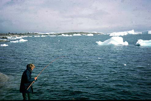 Arctic cod bite well under these conditions.