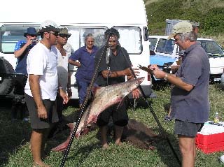 Thirty five pounds - what a fish.