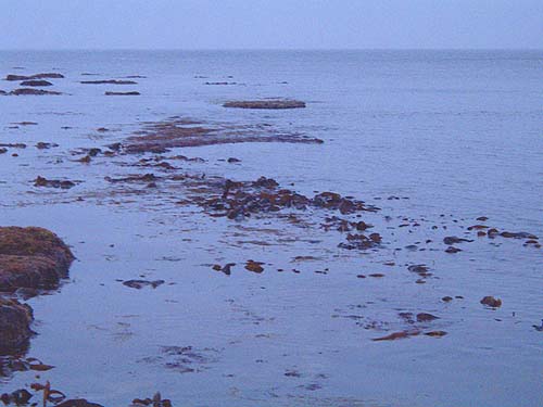 At Low Water Spring Tides the kelp zone is at the water surface.