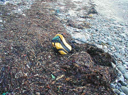 An angler has clearly left his prized possessions on this sacred mound of decaying algae to propitiate the great god John Wilson.