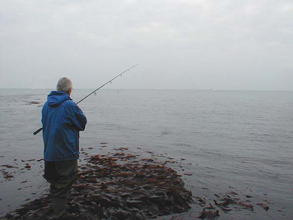 Bass have no problems catching prey in strong tide races like this.