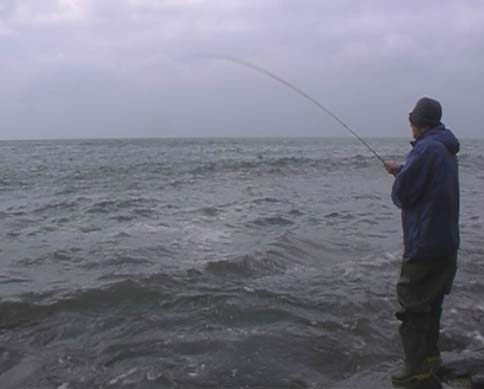 Mullet are outstanding battlers on fly gear.