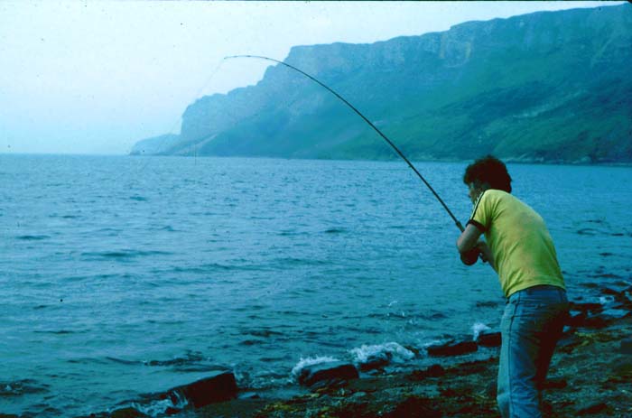 The mullet's close to the beach now but they never know when to give up.