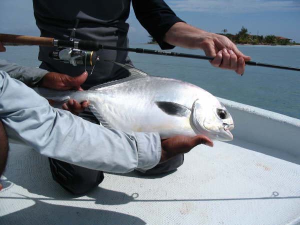 4Surespin 30lb braid.