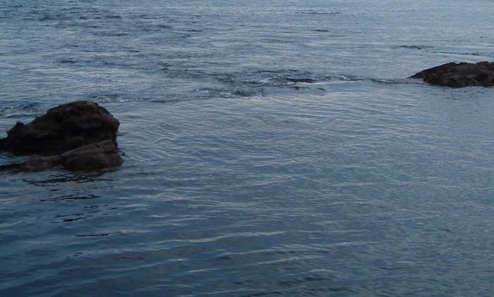 With the tide flowing through it the same spot is now likely to hold bass so get that plug out there!