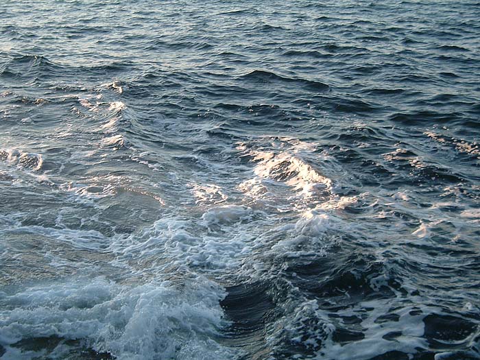 A swell breaking against rocks can also be a bass indicator.