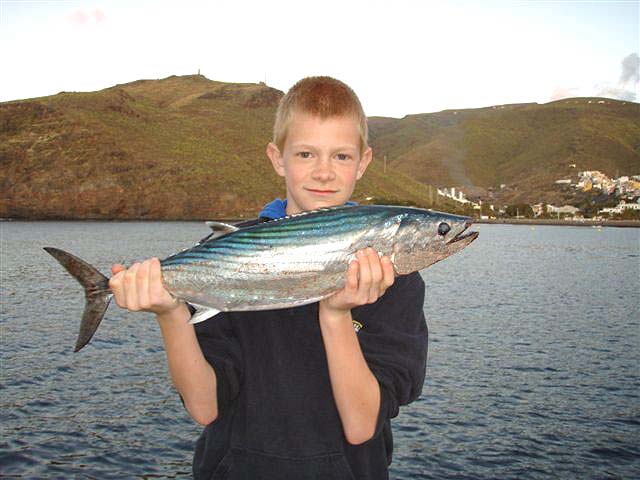 What a fish to catch on spinning gear from the shore.