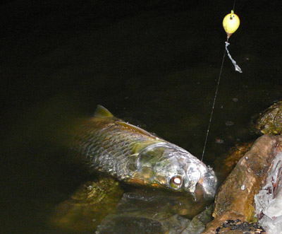 Just imagine his feelings when this hove into view.