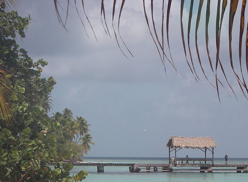 there are always people on the pier.  The 'shadow' under the woodwork is entirely baitfish.