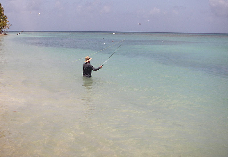 Again the 'shadow' is a baitfish shoal.  Notice the hunting terns and a couple of brown pelicans.