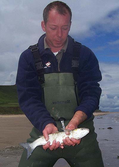 They're not big but aren't they nice fish?