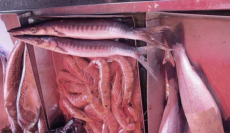 I've caught quite a few of these on lures in other parts of the Med.  Some more weevers (a bit smaller) and some bass.