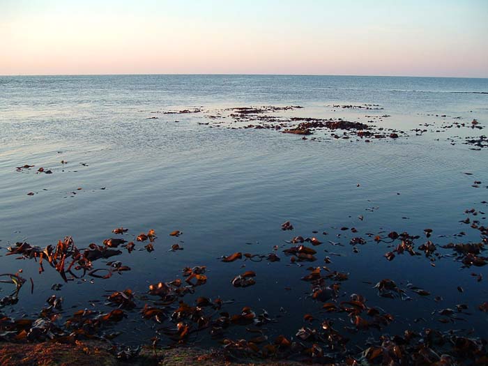 A calm early morning.  Bass struck at shallow diving lures and poppers as the light changed.