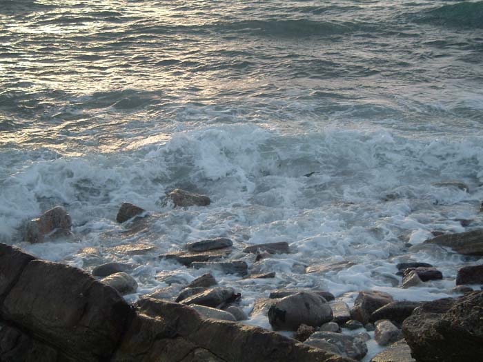 Bass were feeding in the breaking waves.