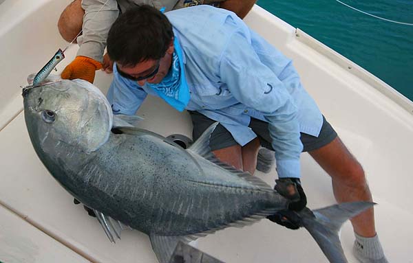 This was Steve's biggest GT and the picture was taken by Austen Goldsmith.  When Steve saw the fish coming to attack the popper he was almost paralysed and stopped winding.