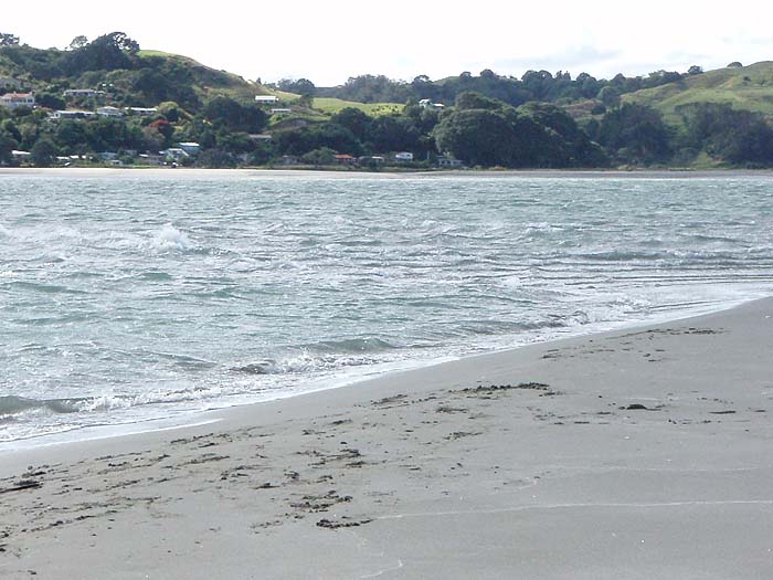 It just shouts 'fish'.