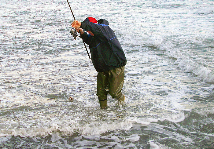 Nigel lands a bass taken by free lining.