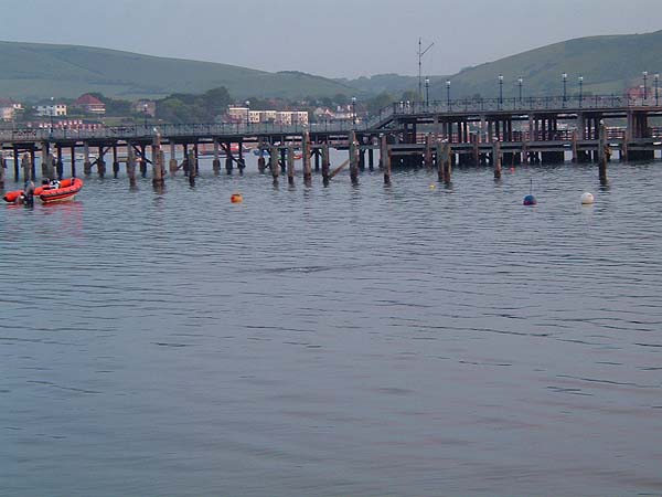 The supporting pilings of wooden structures like this are often a haven for big fish.