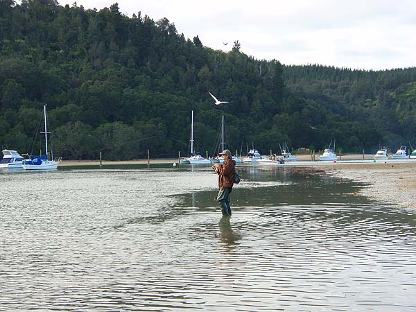 I could handle a bit of trevally/kahawai fishing.