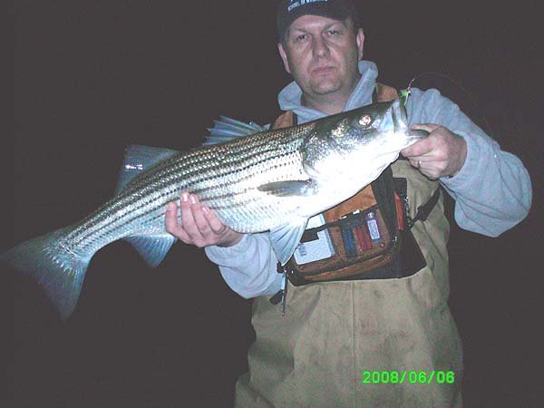 Better than a trout eh!