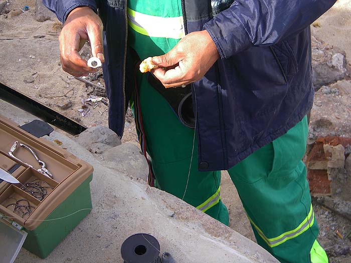 A local chap baiting up with a sea squirt - apparently a deadly bait.