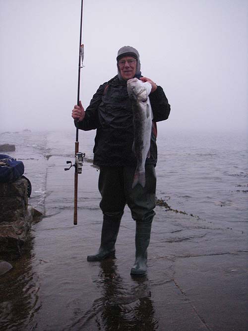 All the best to everyone.