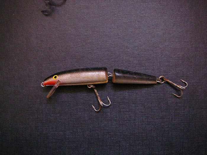 It looks a bit like a fish and has a built in wriggle but What do the fish think?