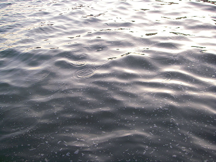 Just look at those sandsmelts ringing the surface, but where were the bass?