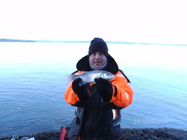 Bass also feast on green worms.