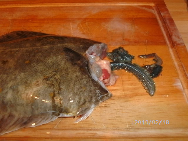 No doubt what this fish had been eating then!'